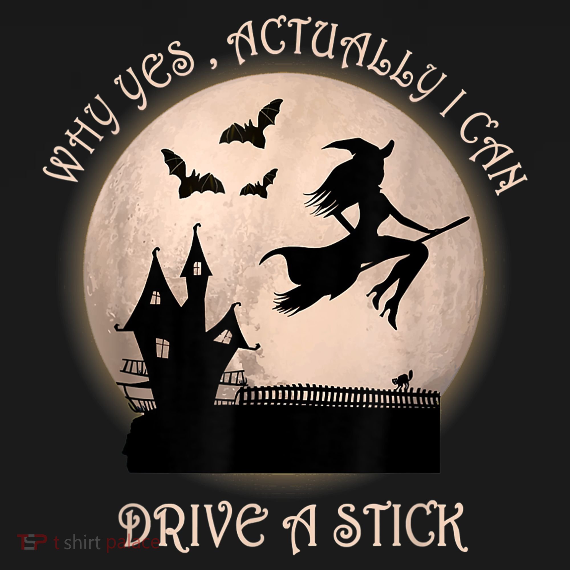 Halloween Witch Costume Why Yes Actually I Can Drive A Stick Polo