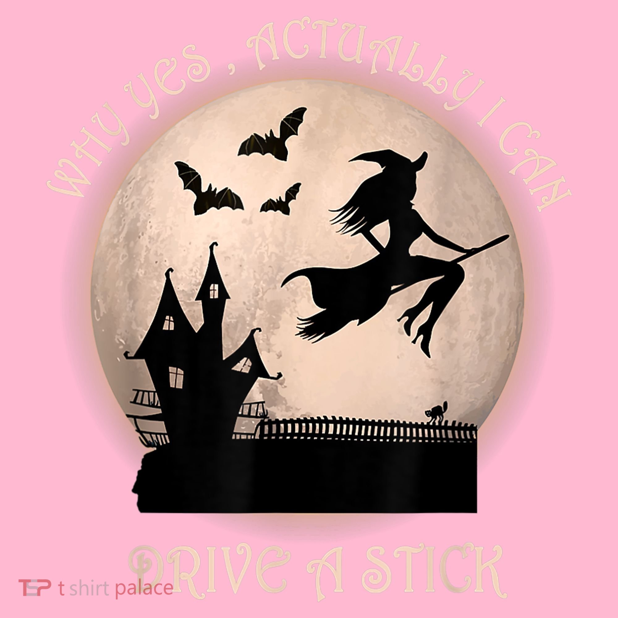 Halloween Witch Costume Why Yes Actually I Can Drive A Stick Hoodie