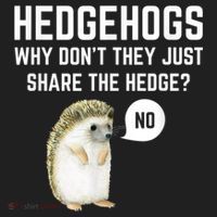 Hedgehogs Why Don't They Just Share The Hedge? Funny Hedgehog Women's Sweatshirt thumb 2