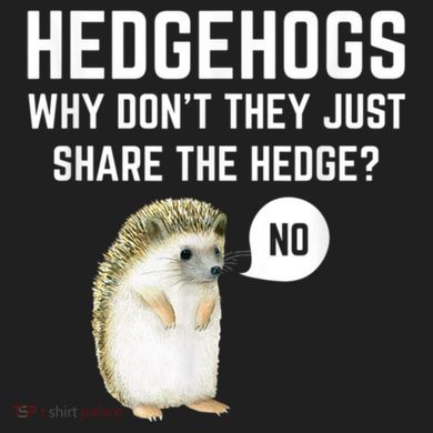 Hedgehogs Why Don't They Just Share The Hedge? Funny Hedgehog District V.I.T. Heavyweight Hoodie