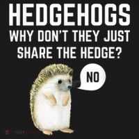 Hedgehogs Why Don't They Just Share The Hedge? Funny Hedgehog Women's Tank Top thumb 5