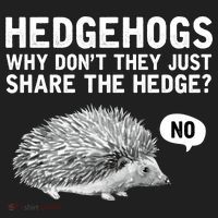Hedgehogs Why Don't They Just Share The Hedge Funny Tumbler thumb 3