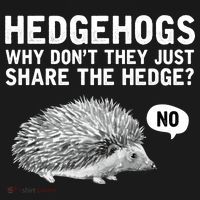 Hedgehogs Why Don't They Just Share The Hedge Funny Ornament thumb 1