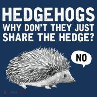 Hedgehogs Why Don't They Just Share The Hedge Funny Women's Tank Top thumb 5
