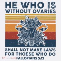 He Who Is Without Ovaries Shall Not Make Laws For Those Who Ornament thumb 1