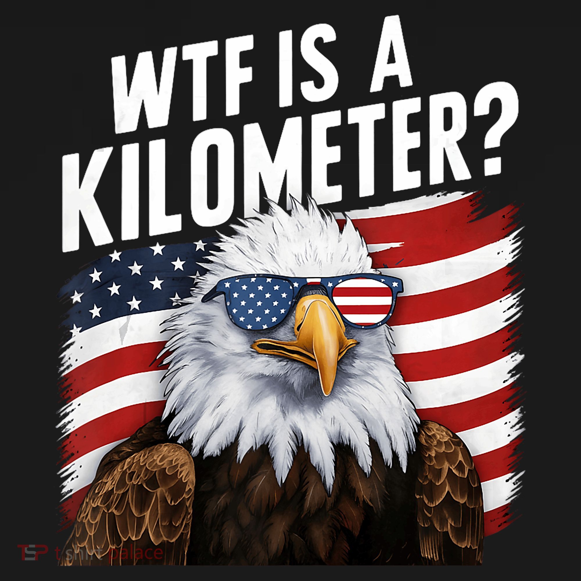 Hilarious Wtf Is A Kilometer 4th Of July Independence Day Women's Hoodie