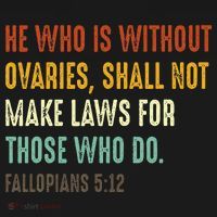 He Who Is Without Ovaries Shall Not Make Laws For Those T-Shirt thumb 7