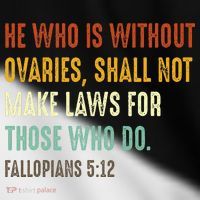 He Who Is Without Ovaries Shall Not Make Laws For Those Toddler Fine Jersey T-Shirt thumb 2