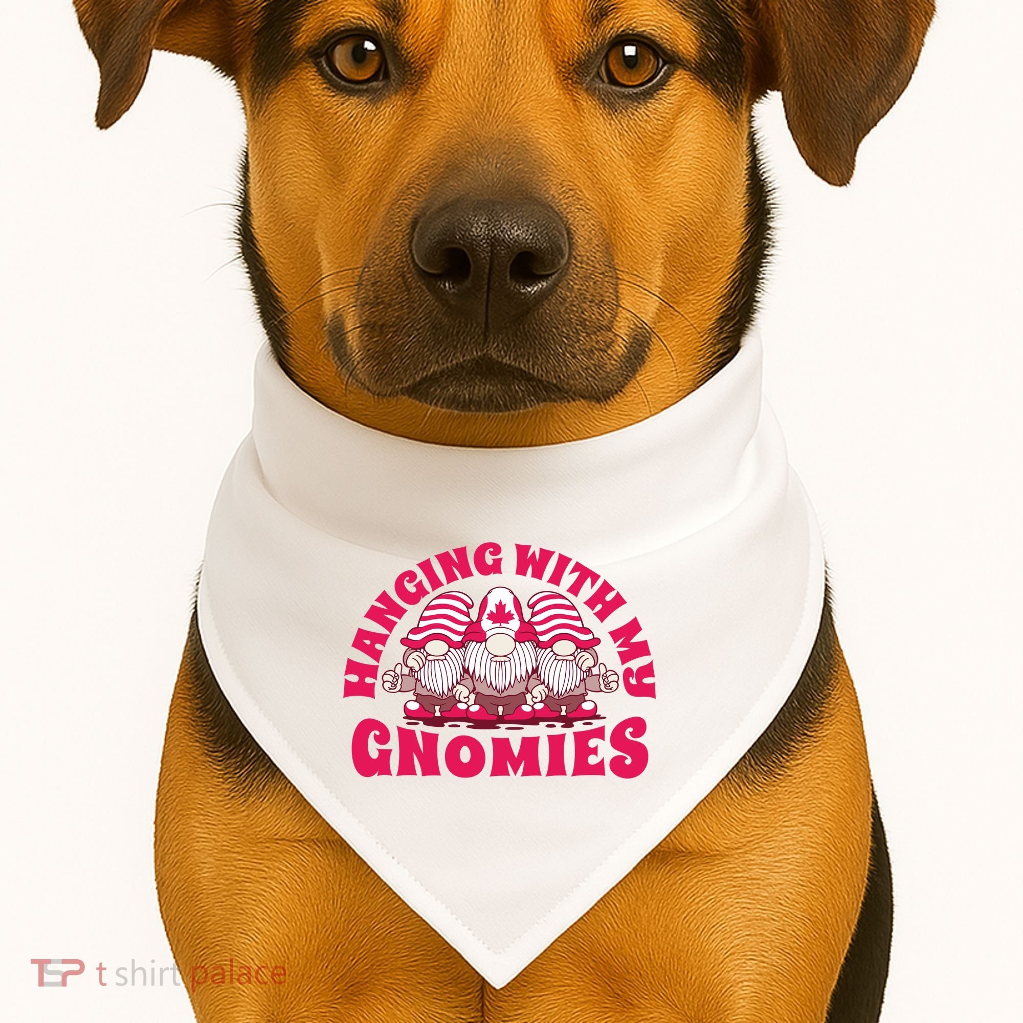 Hanging With My Gnomies Canada USA-Made Doggie Bandana