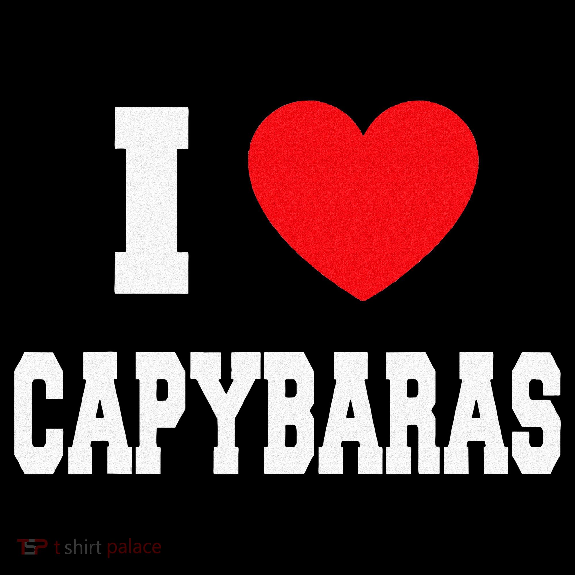 Home Where My Capybaras Gifts for Capybaras Lovers  Sweatshirt