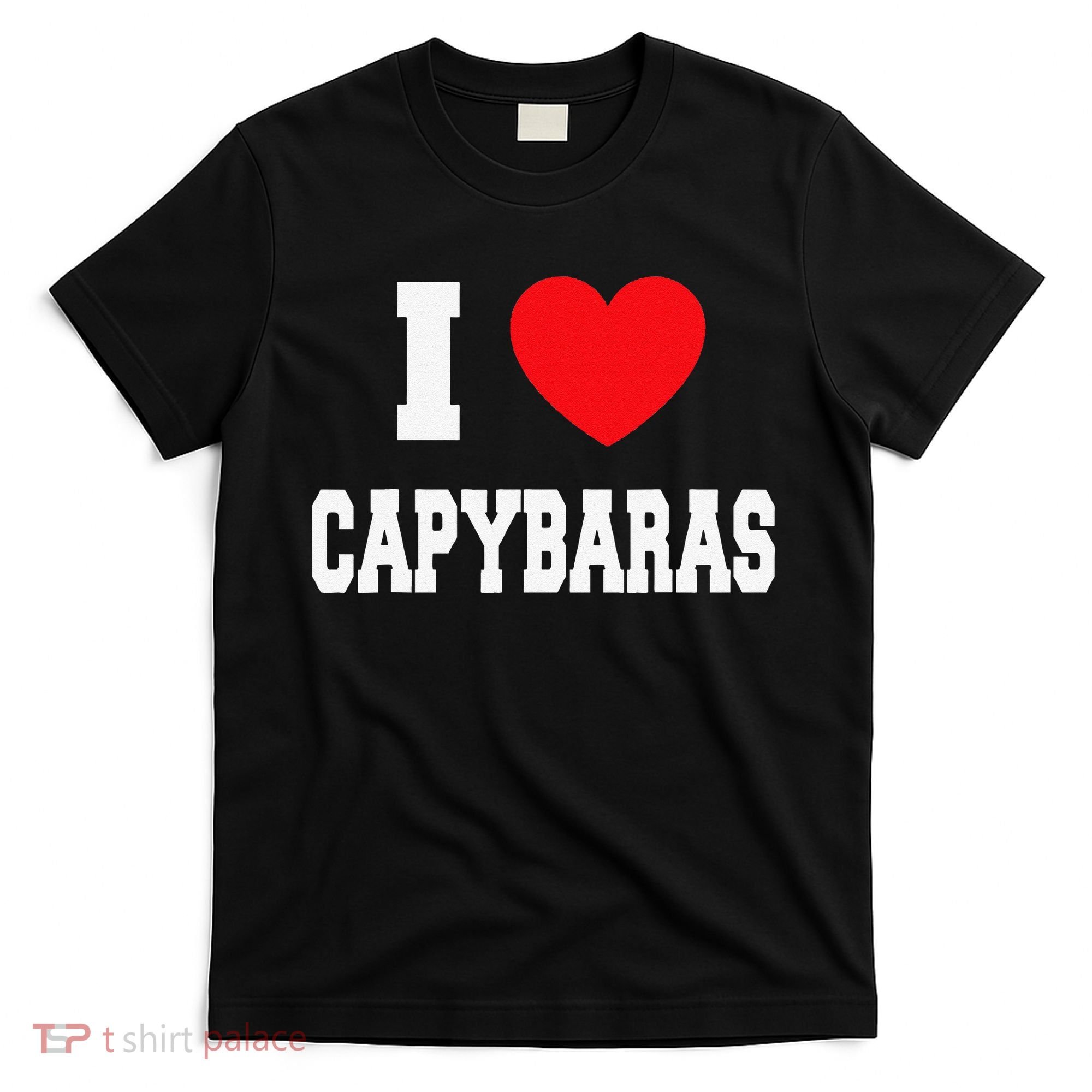Home Where My Capybaras Gifts for Capybaras Lovers  T-Shirt