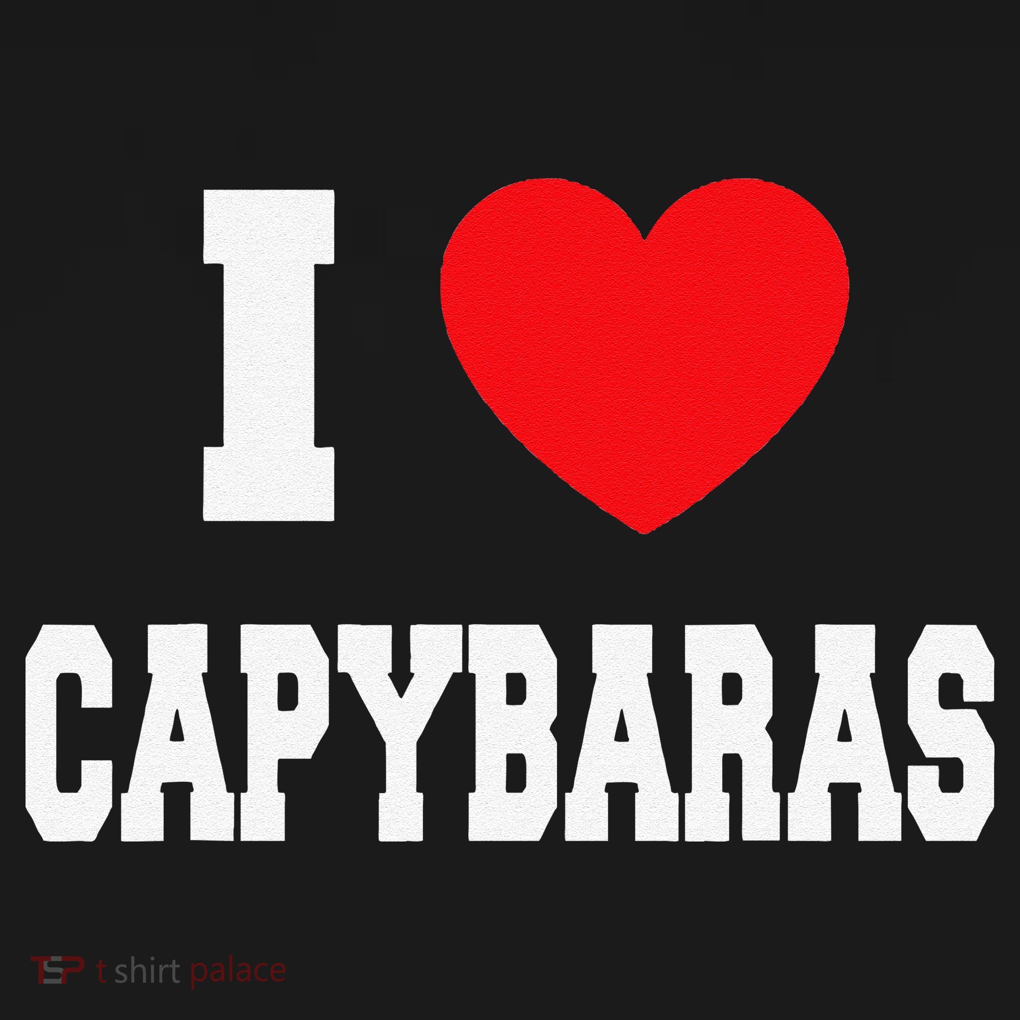 Home Where My Capybaras Gifts for Capybaras Lovers  Women's Hoodie