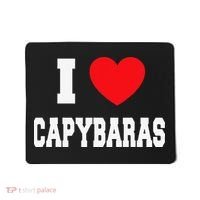 Home Where My Capybaras Gifts for Capybaras Lovers  Mousepad thumb 0