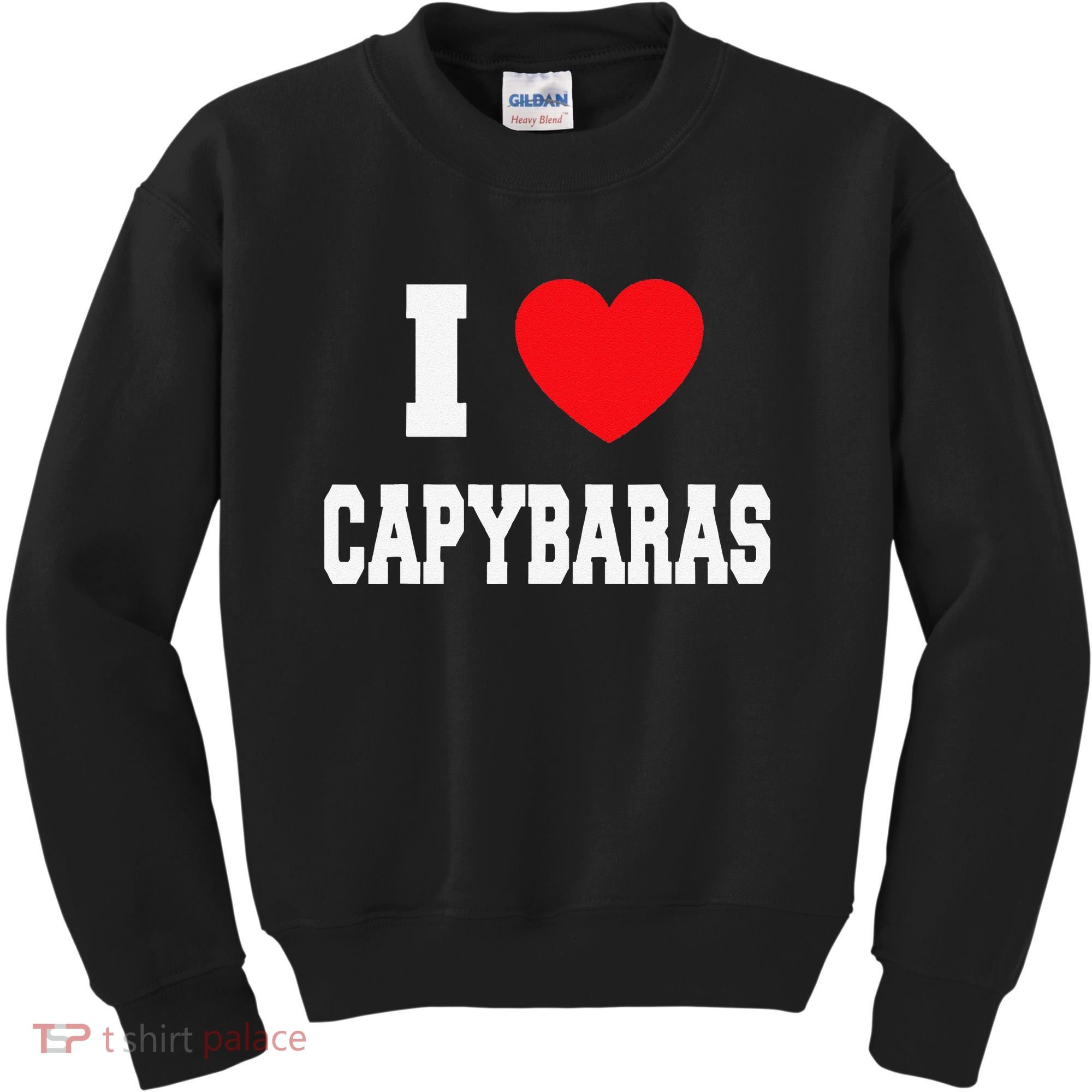 Home Where My Capybaras Gifts for Capybaras Lovers  Kids Sweatshirt