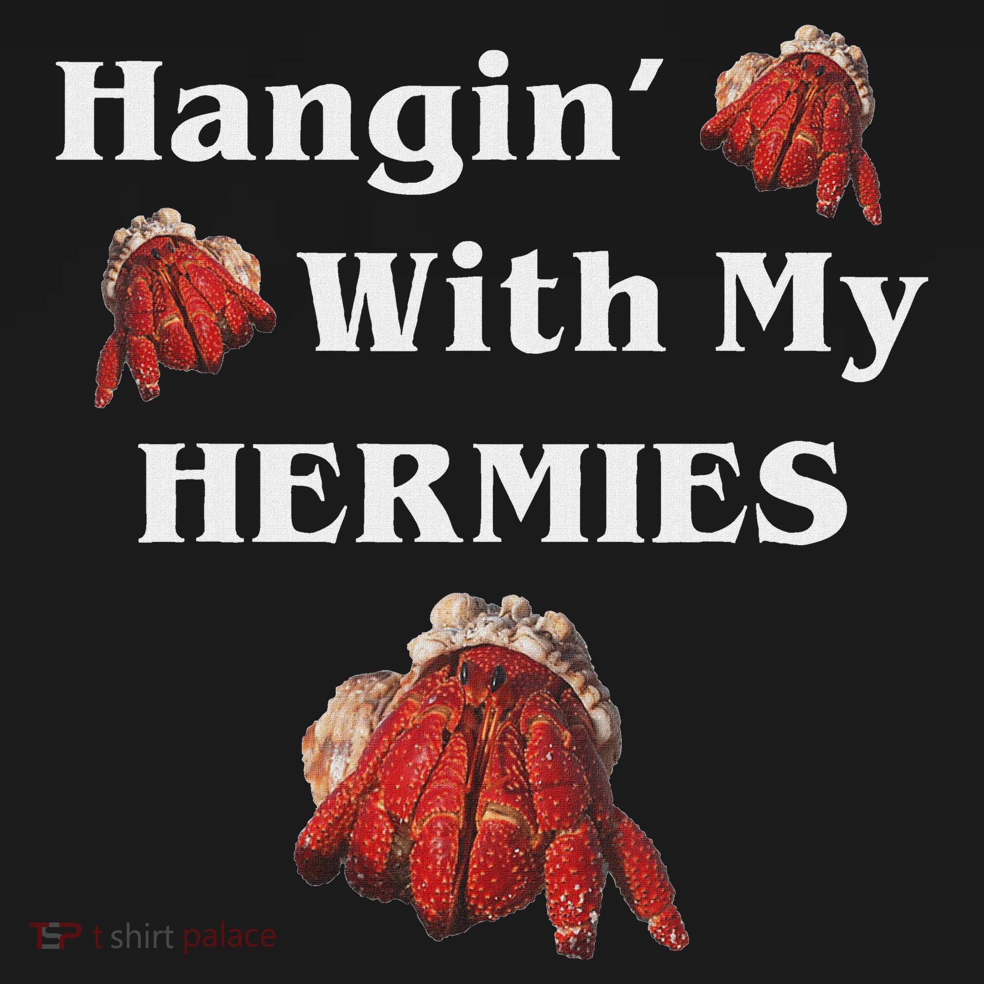 Hangin With My Hermies Funny Hermit Crab Lover Women's Hoodie