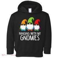 Hanging With My Gnomies Funny Garden Gnome Toddler Hoodie thumb 0