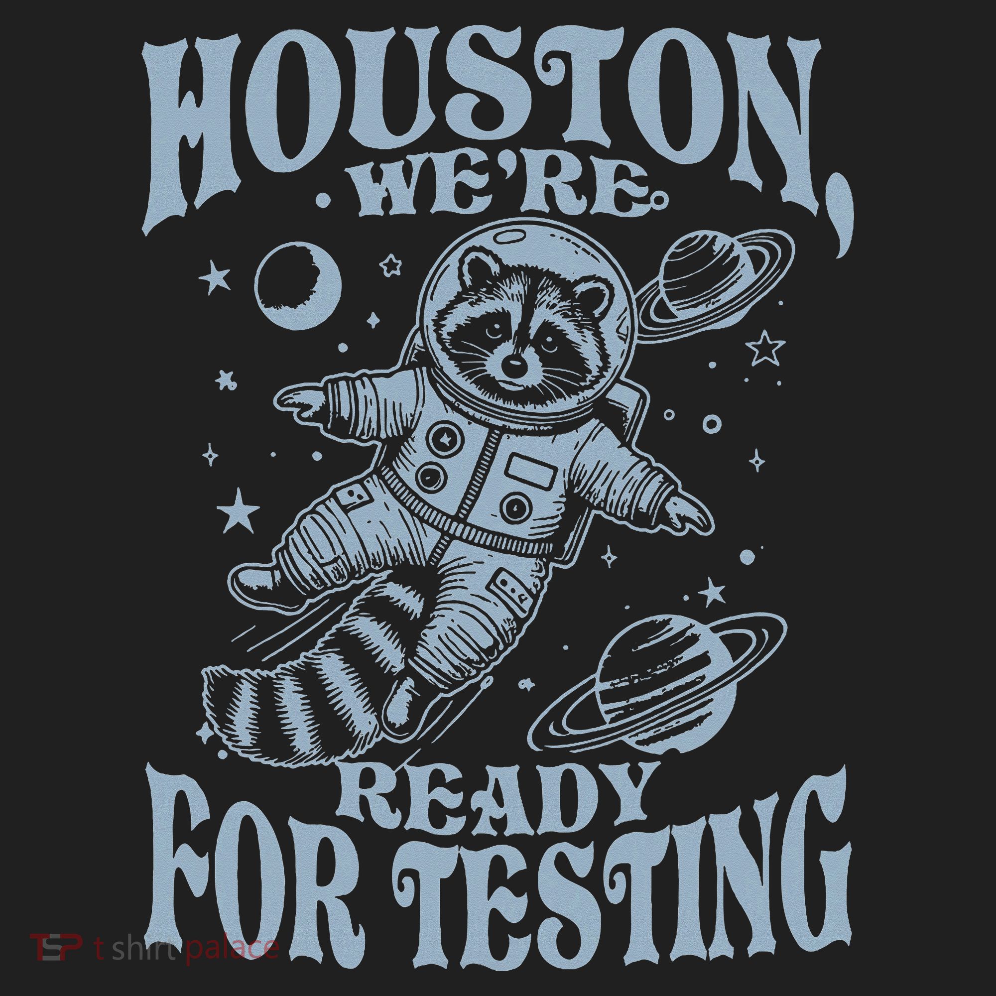 Houston We're Ready For Testing Teacher Racoon Astronaut Hat