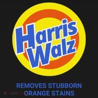 Harris Walz Removes Stubborn Orange Stains Support Kamala Harris 2024 Kids Sweatshirt thumb 2