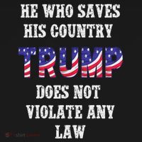 He Who Saves His Country Does Not Violate Any Law Hoodie thumb 7