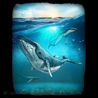 Humpback Whale Sea Ocean Women's Tank Top thumb 5