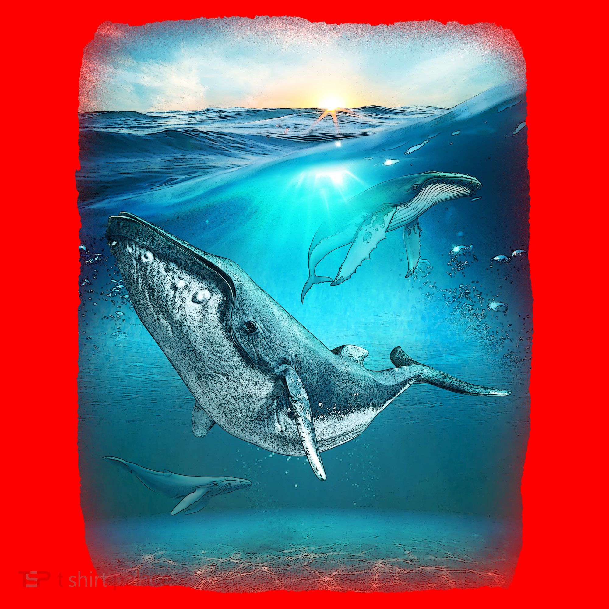 Humpback Whale Sea Ocean Santa Hat