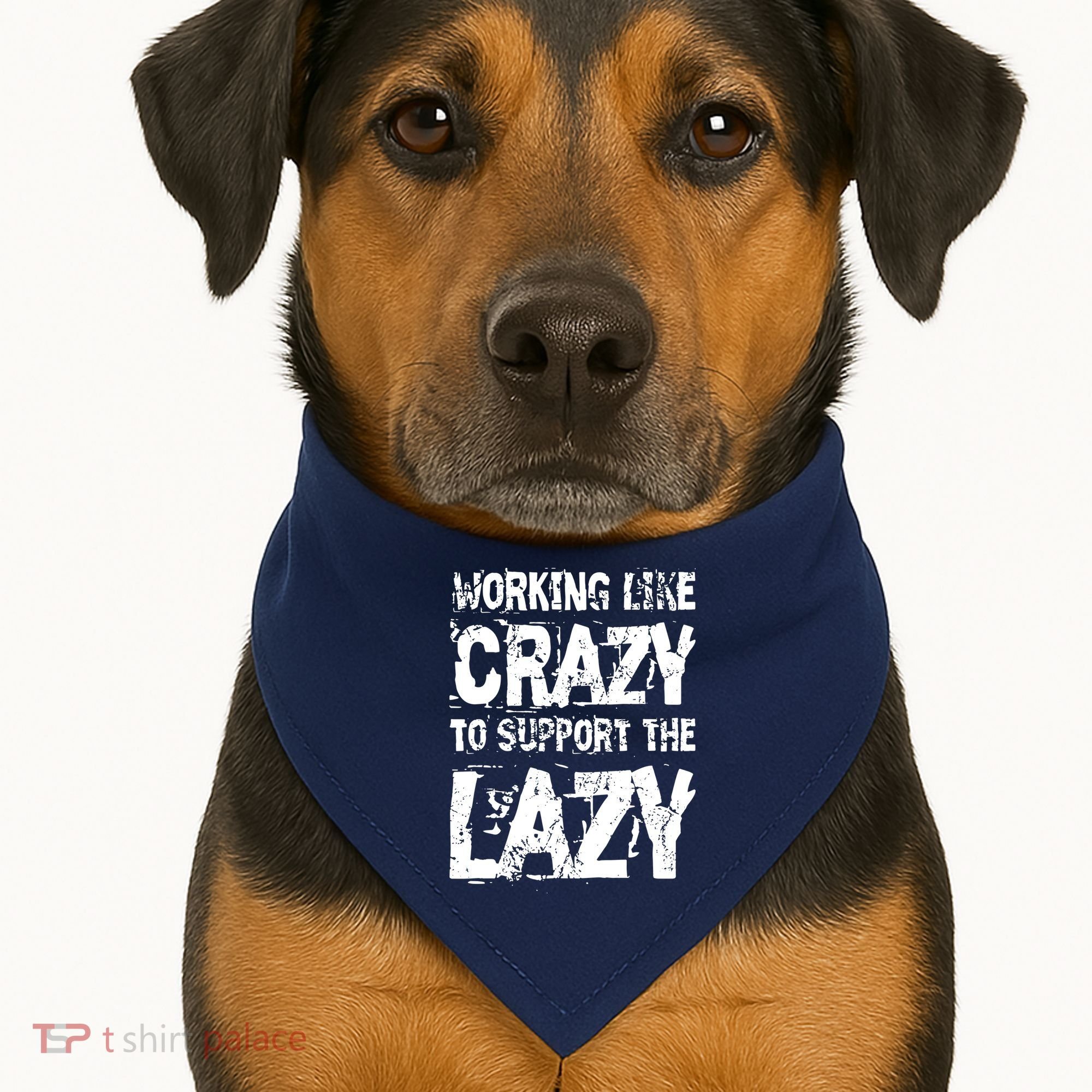 Hard Worker Working Like Crazy To Support The Lazy USA-Made Doggie Bandana