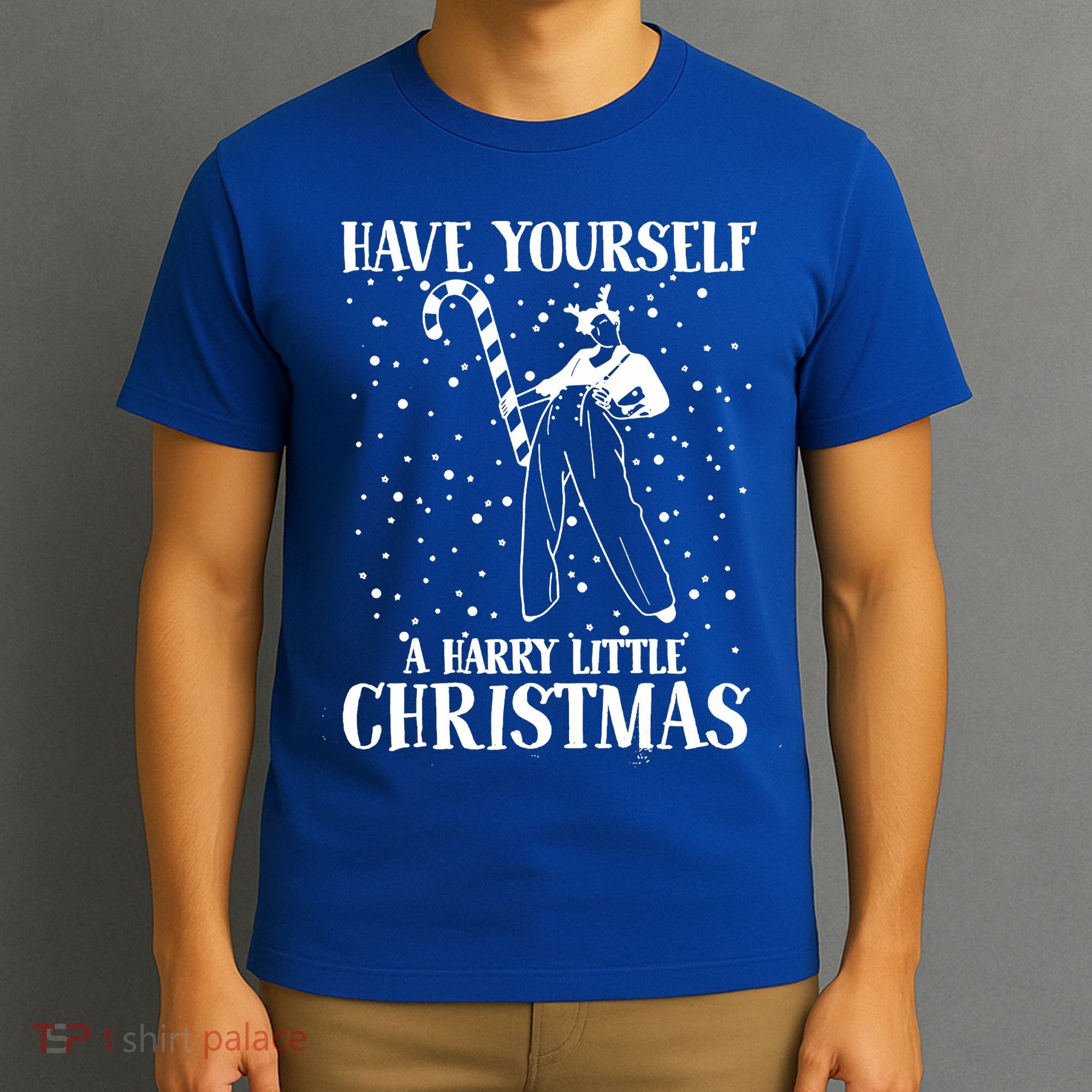 Have Yourself A Harry Little Christmas Xmas Gift T-Shirt