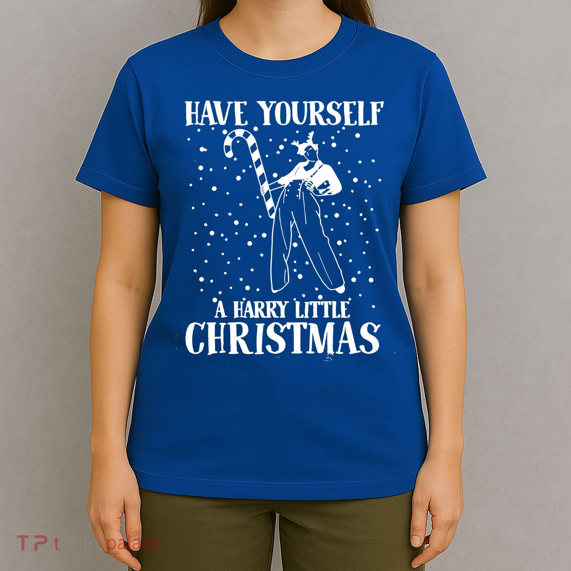Have Yourself A Harry Little Christmas Xmas Gift T-Shirt
