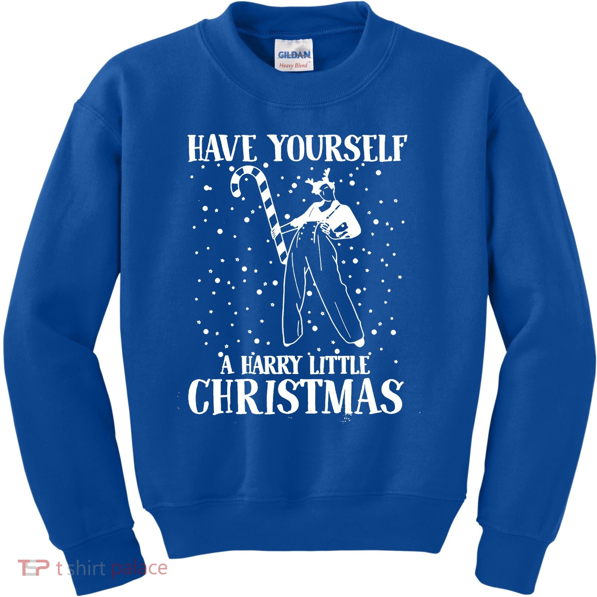 Have Yourself A Harry Little Christmas Xmas Gift Kids Sweatshirt