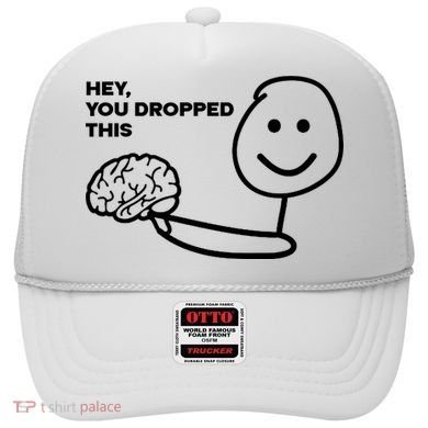 Hey You Dropped This Brain Funny Sarcastic Hat