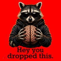 Hey You Dropped This Funny Raccoon Brain Meme Santa Hat thumb 1