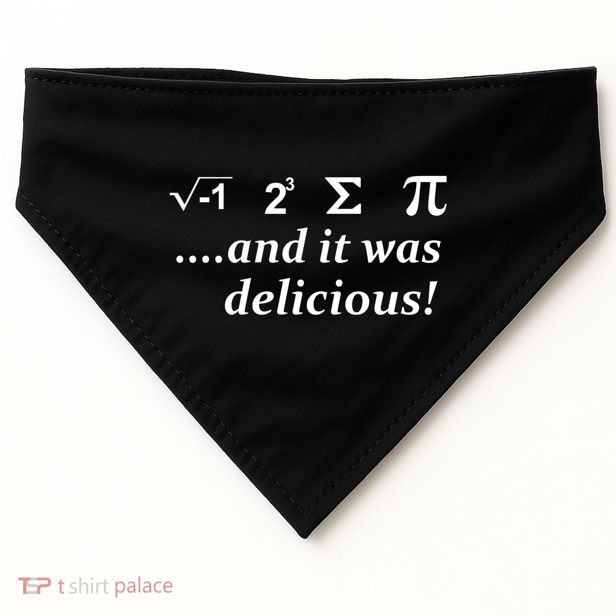 I 8 Sum Pi And It was Delicious! USA-Made Doggie Bandana