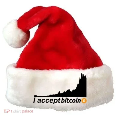 I Accept Bitcoin Crypto Currency Santa Hat