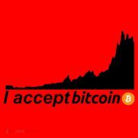 I Accept Bitcoin Crypto Currency Santa Hat thumb 1