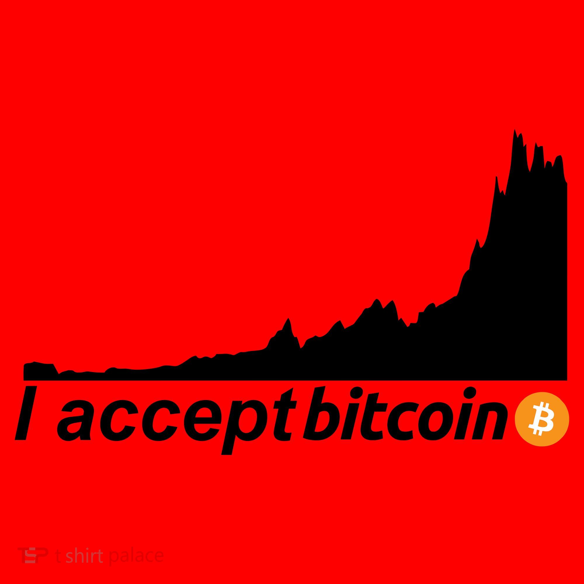 I Accept Bitcoin Crypto Currency Santa Hat