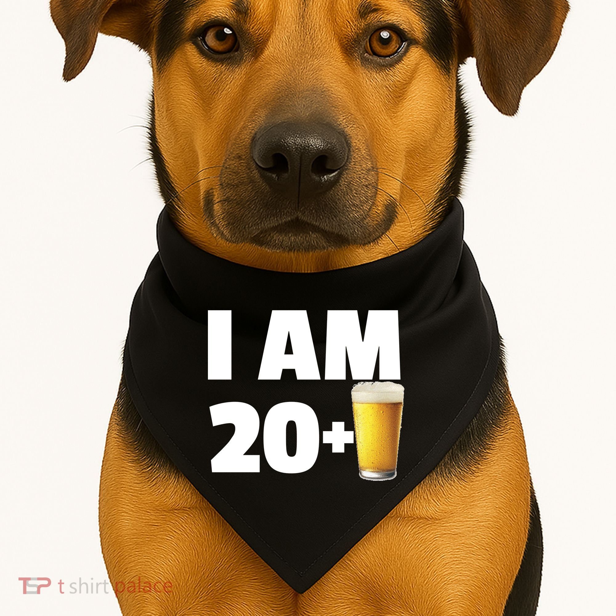 I Am 20 Plus Beer 21st Birthday USA-Made Doggie Bandana