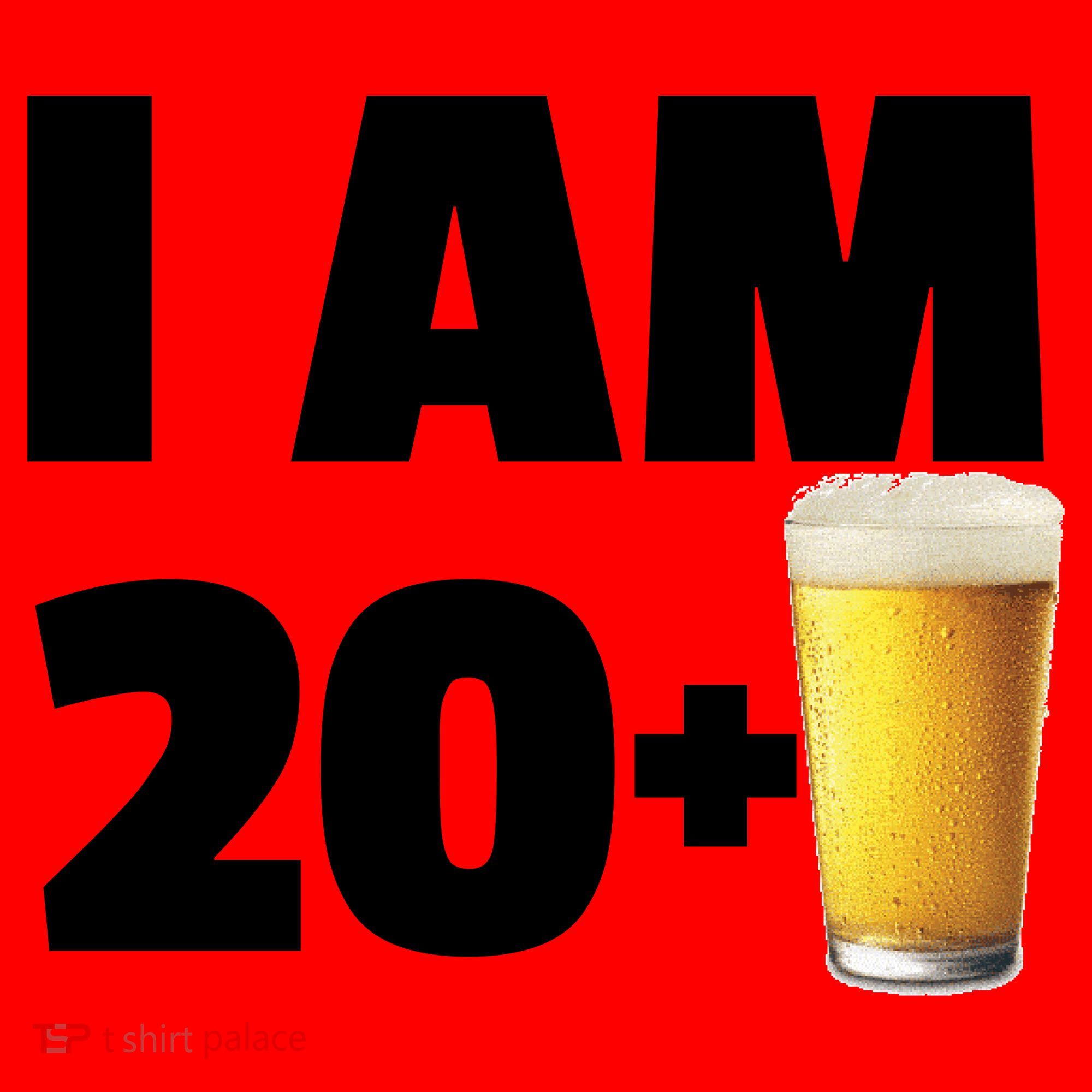 I Am 20 Plus Beer 21st Birthday Santa Hat