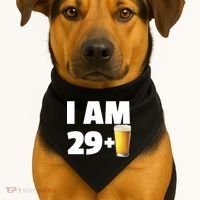 I Am 29 Plus Beer 30th Birthday USA-Made Doggie Bandana thumb 1