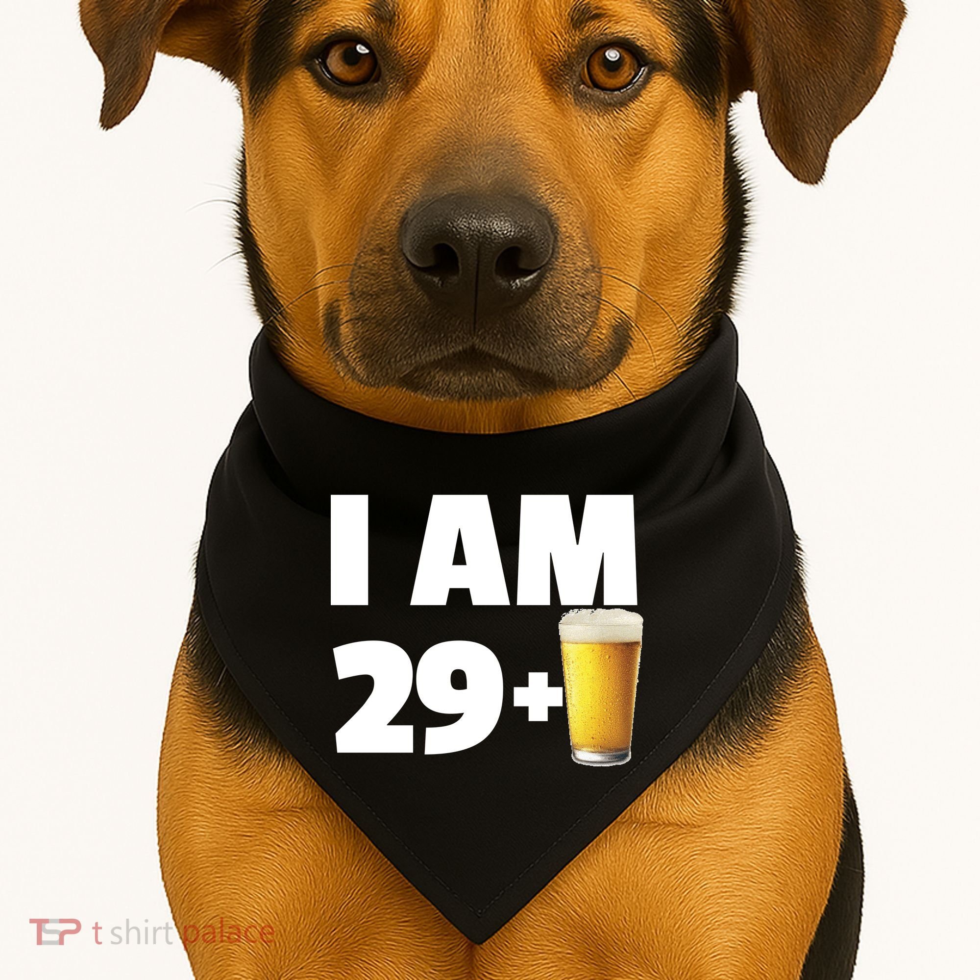 I Am 29 Plus Beer 30th Birthday USA-Made Doggie Bandana