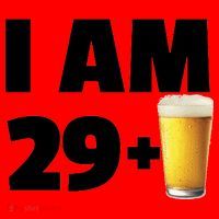 I Am 29 Plus Beer 30th Birthday Santa Hat thumb 1