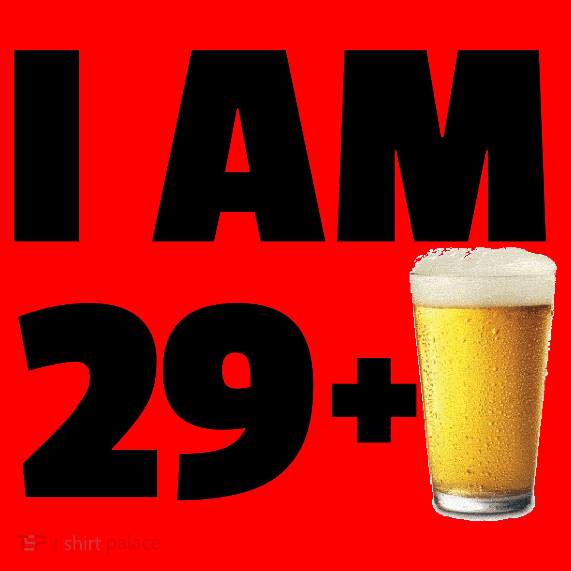 I Am 29 Plus Beer 30th Birthday Santa Hat