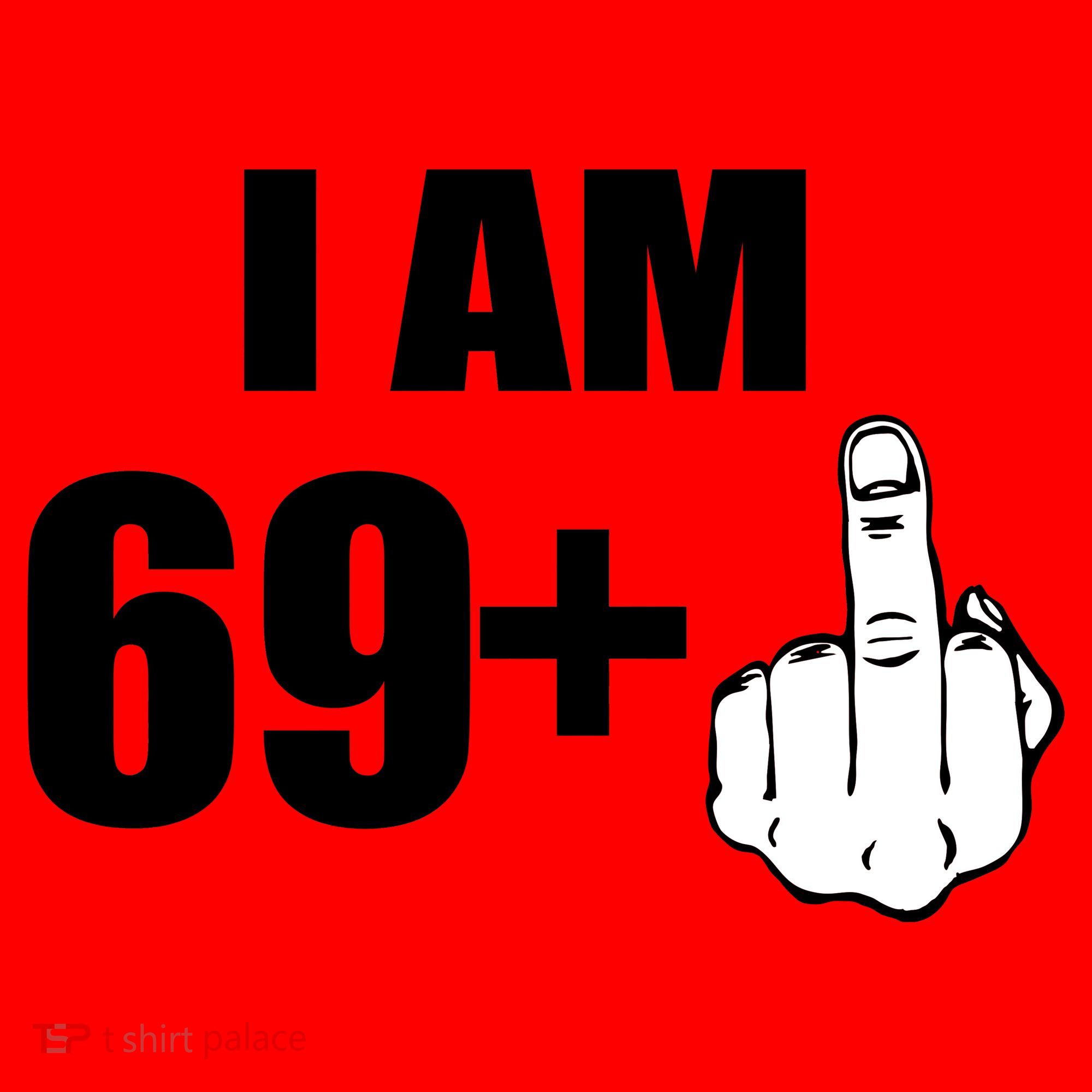 I Am 70 Middle Finger 70th Birthday Gift Santa Hat