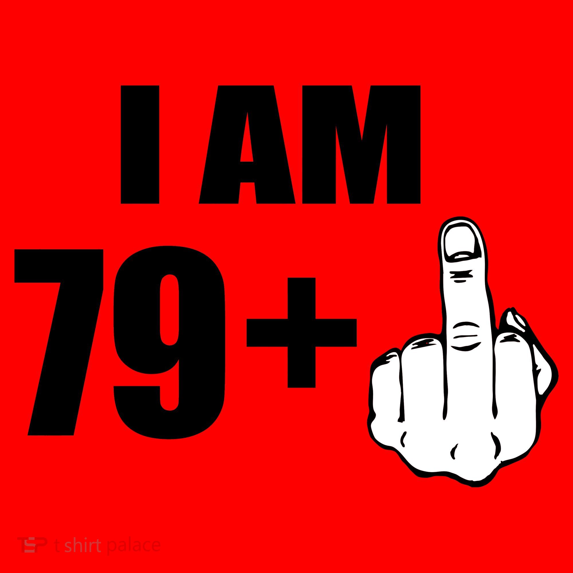 I Am 80 Middle Finger 80th Birthday Gift Santa Hat