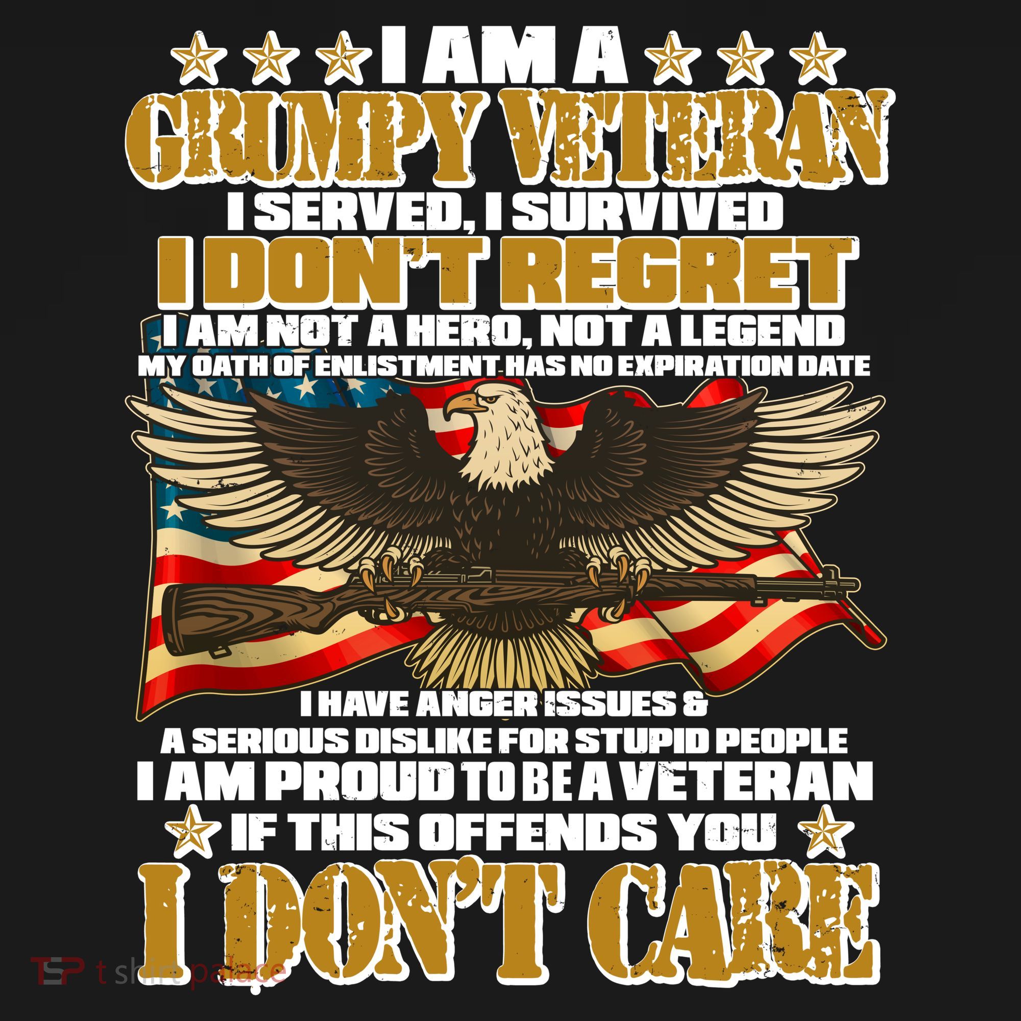I Am A Grumpy Proud Veteran Funny T-Shirt