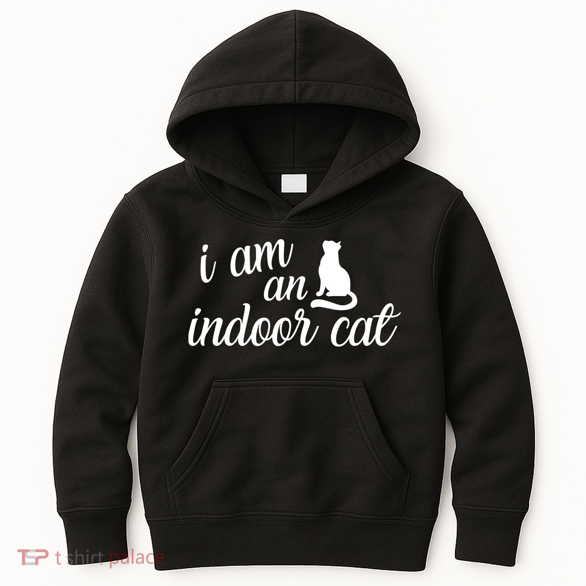 I Am An Indoor Cat Kids Hoodie