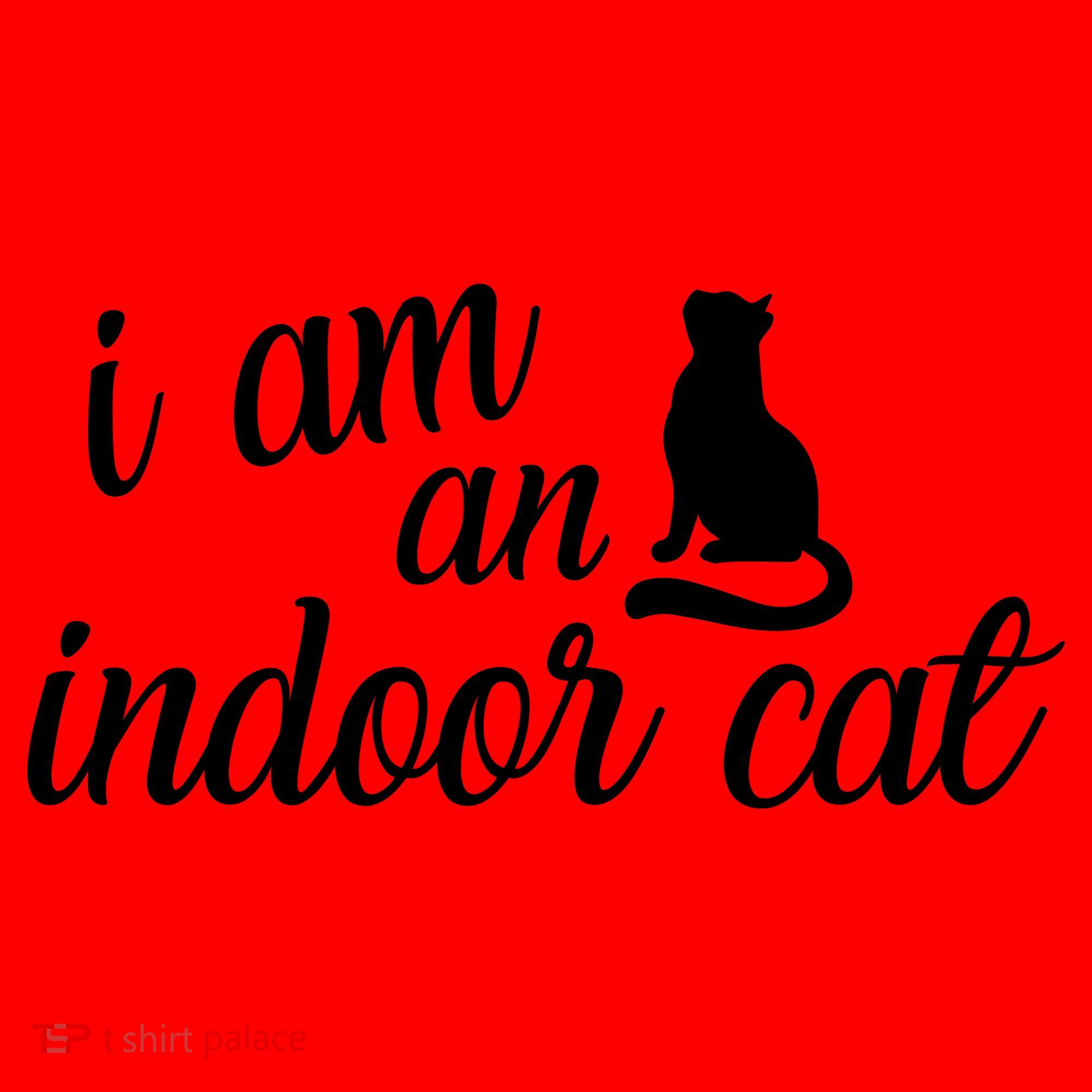 I Am An Indoor Cat Santa Hat