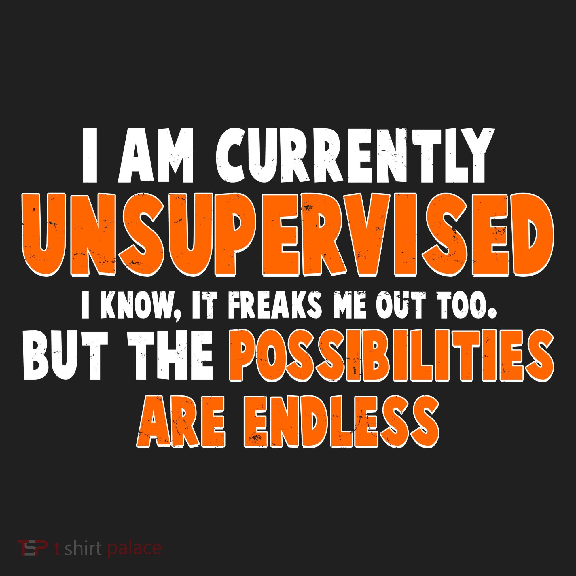 I Am Currently Unsupervised The Possibilities Are Endless Tumbler