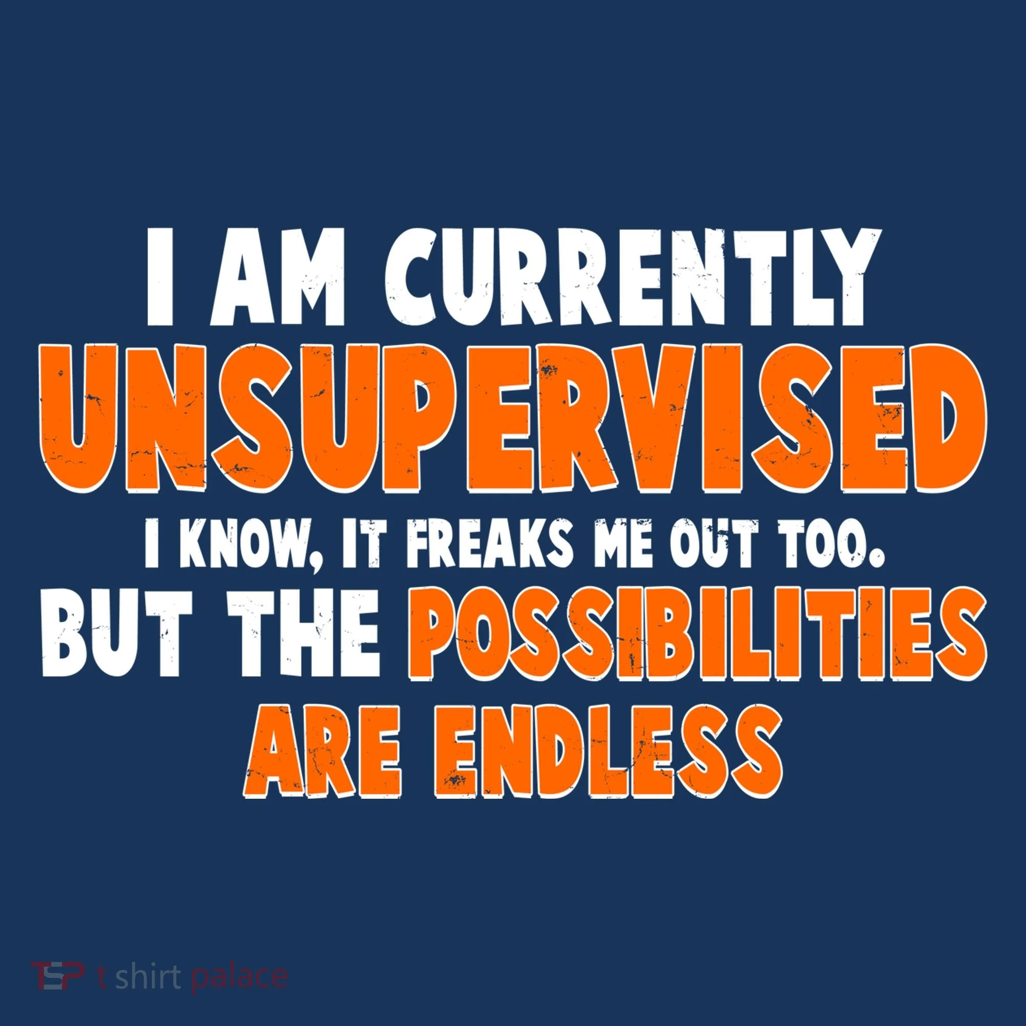 I Am Currently Unsupervised The Possibilities Are Endless Long Sleeve Shirt