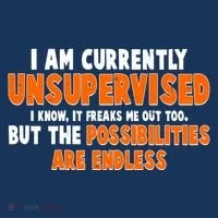 I Am Currently Unsupervised The Possibilities Are Endless Toddler Hoodie thumb 2