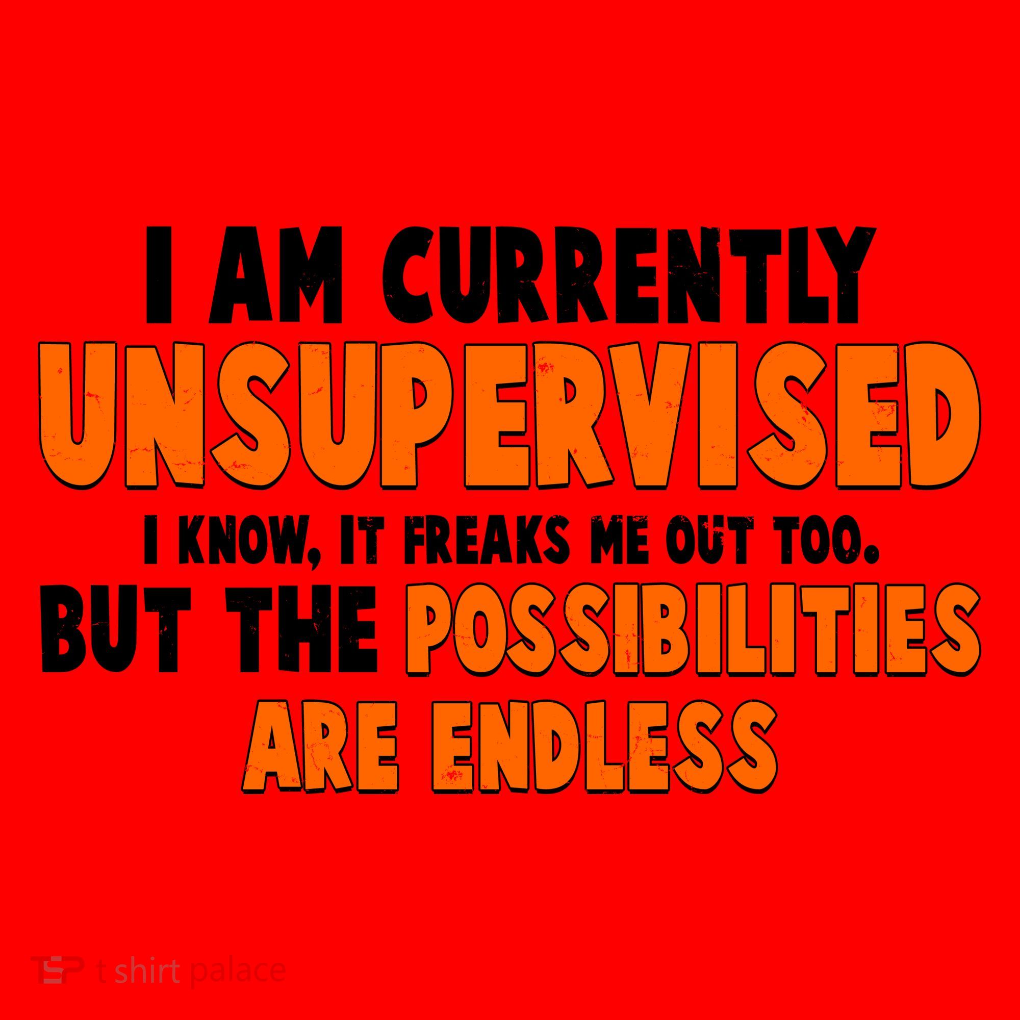 I Am Currently Unsupervised The Possibilities Are Endless Santa Hat
